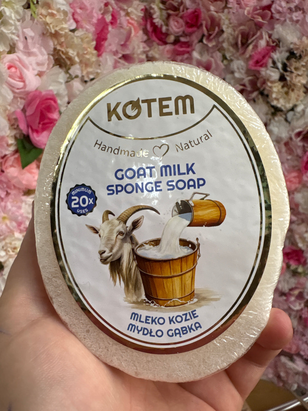 Houba kozí mléko